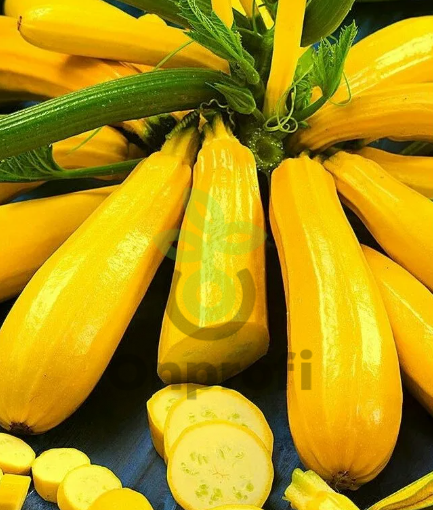 Кабачок цуккини Ананасный, 5гр (фасовка)