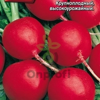 Редис Дуро краснодарское, 50гр
