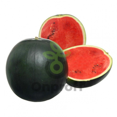 Арбуз Мулат,