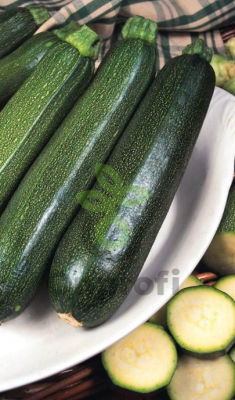 Кабачок цуккини Аэронавт, 5гр (фасовка)