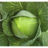 Капуста белокачанная Чирс F1, 2 500шт
