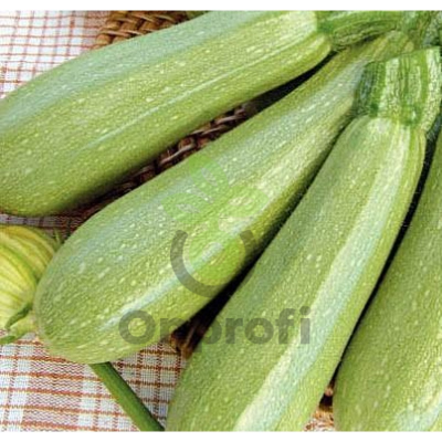 Кабачок Суха F1,