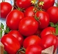 Томат Флоренция, 0,5гр (фасовка)