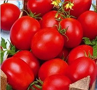 Томат Флоренция, 0,5гр (фасовка)