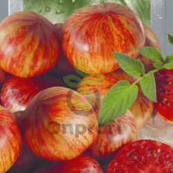 Томат Хамелеон, 0,5гр (фасовка)