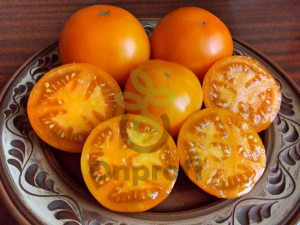 Томат Хурма, 0,5гр (фасовка)