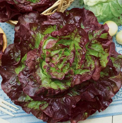 Салат Красный полукачанный, 5гр (фасовка)