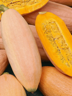 Тыква крупноплодная Розовый банан, 10гр (фасовка)