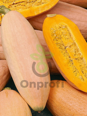 Тыква крупноплодная Розовый банан, 10гр (фасовка)