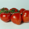 Томат Мимино F1,
