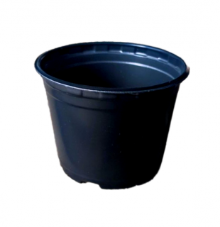 Горшок для рассады 100*80мм 1,1мкр (0.5), 10шт