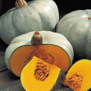 Тыква крупноплодная Теремок, 10гр (фасовка)