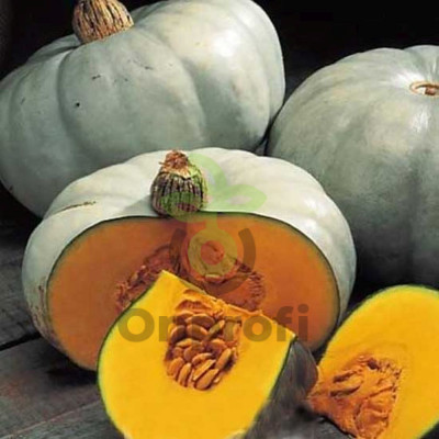 Тыква крупноплодная Теремок, 10гр (фасовка)