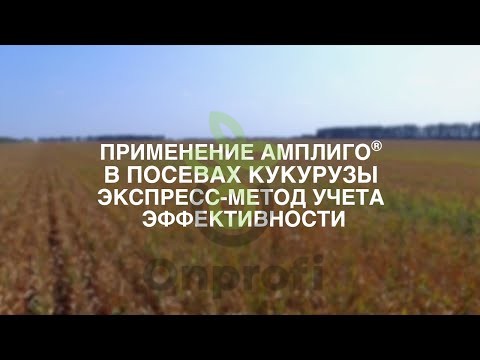 Инсектицид Амплиго