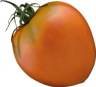 Томат Золотое Сердце,