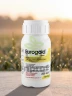 Акарицид Евроголд (Eurogold),