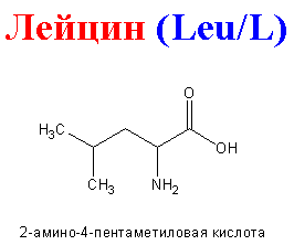 Аминокислота незаменимая L-АЛЬФА  Лейцин, 50гр