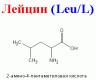 Аминокислота незаменимая L-АЛЬФА  Лейцин, 50гр