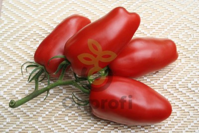 Томат Гаспачо,