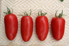 Томат Гаспачо,