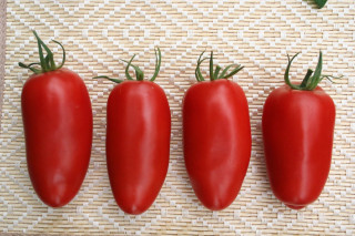 Томат Гаспачо,