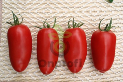 Томат Гаспачо,