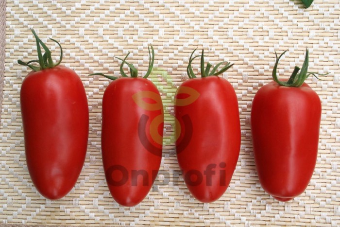 Томат Гаспачо,