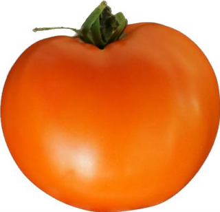 Томат Желтоплодный Солнце,