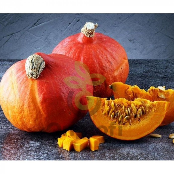 Тыква крупноплодная Хоккайдо, 10гр (фасовка)