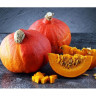 Тыква крупноплодная Хоккайдо, 10гр (фасовка)