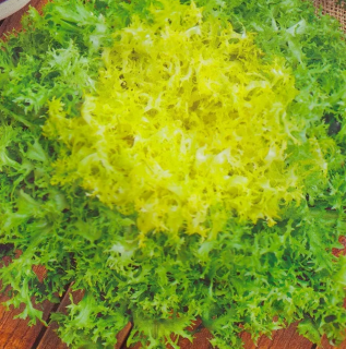 Салат Тортик (эндивий), 5гр (фасовка)