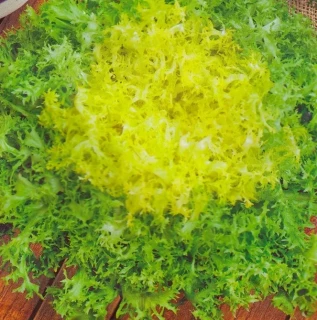 Салат Тортик (эндивий), 5гр (фасовка)