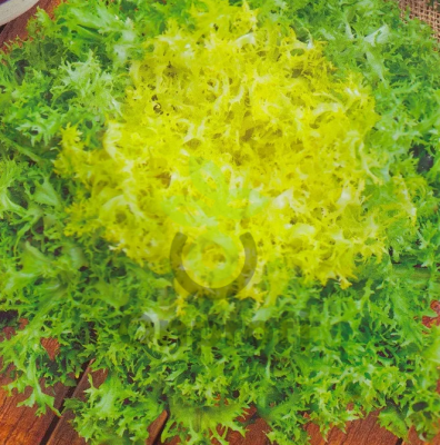 Салат Тортик (эндивий), 5гр (фасовка)