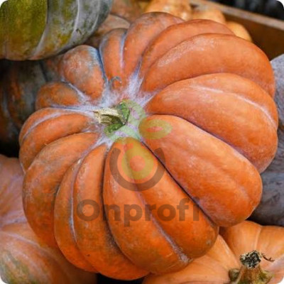 Тыква мускатная  Прованская (Аэлита), 10гр (фасовка)