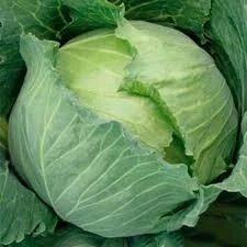 Капуста белокочанная Славанова (Славянка) Satimex, 100гр