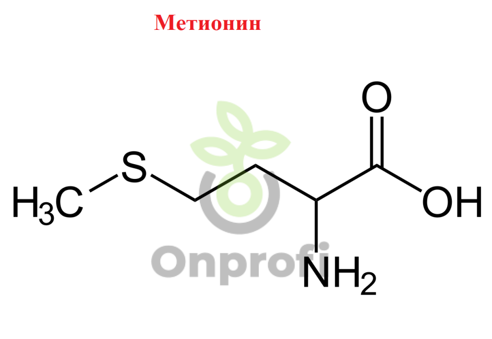 Метионин какая аминокислота. Метионин формула химическая. Метионин структурная формула. Метионин аминокислота формула структурная. Метионин формула аминокислоты.