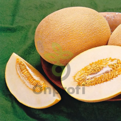 Дыня Ананас,