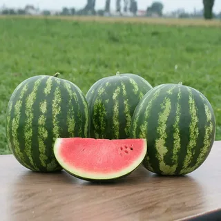 Арбуз Кримстар F1,