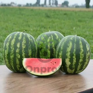 Арбуз Кримстар F1,