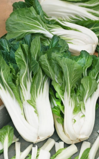 Капуста китайская Аленушка, 0,5гр (фасовка)