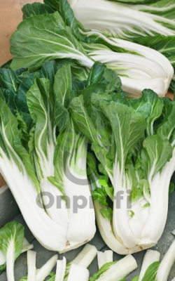 Капуста китайская Аленушка, 0,5гр (фасовка)