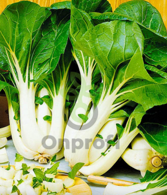 Капуста китайская Пак Чой, 0,5гр (фасовка)