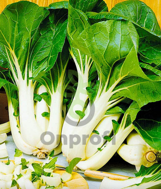 Капуста китайская Пак Чой, 0,5гр (фасовка)