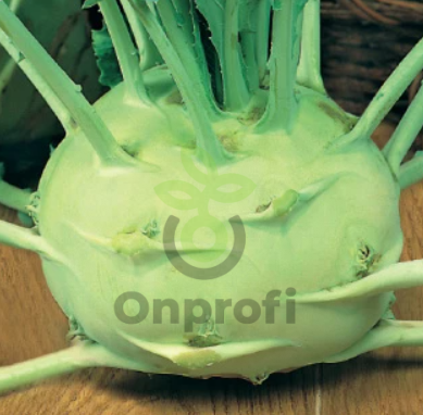 Капуста кольраби Гигант, 0,5гр (фасовка)