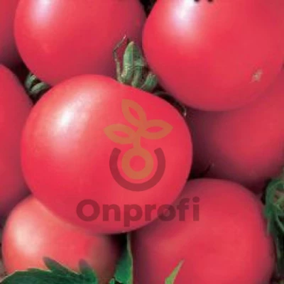 Томат Волгоградский розовый 5/95, 5гр (фасовка)