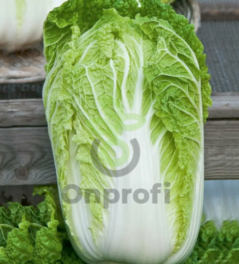 Капуста пекинская Бокал, 0,5гр (фасовка)