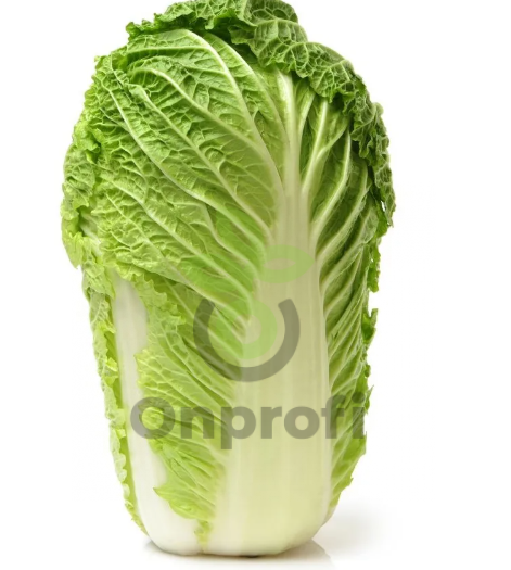 Капуста пекинская Гарант, 0,5гр (фасовка)