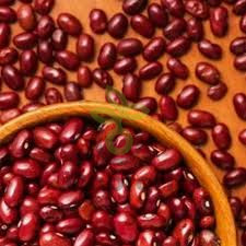 Фасоль обыкновенная Рубин, 10гр (фасовка)