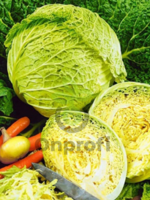 Капуста савойская Золотая, 0,5гр (фасовка)