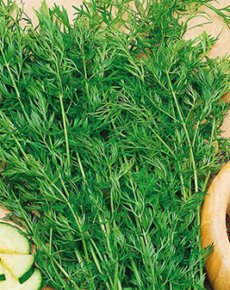 Тмин Овощной Душистый, 1гр (фасовка)